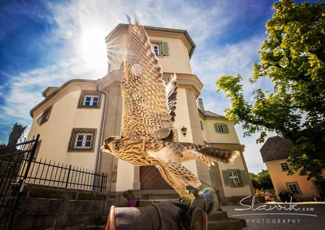 Schloss Falkenhaus Bad Berneck im Fichtelgebirge Exterior photo